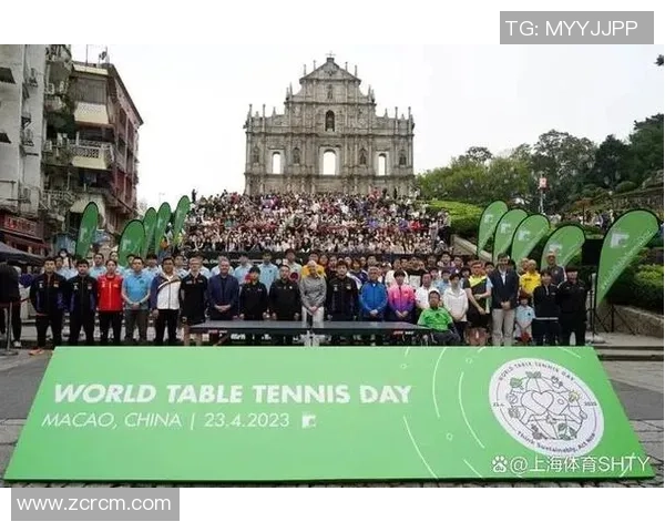 武汉排球队的拼搏之路：奥运会背后的奋斗与荣耀